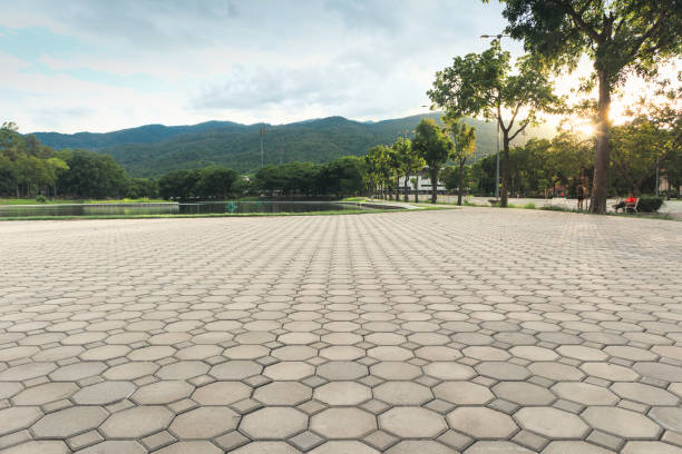 Best Best Driveway Pavers  in Shaw Heights, CO